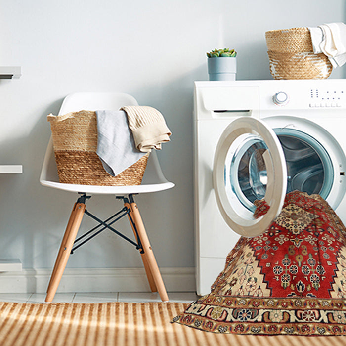 Machine Washable Traditional Sand Brown Rug in a Washing Machine, wshtr520