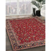 Traditional Orange Salmon Pink Persian Rug in Family Room, tr531