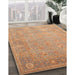 Machine Washable Traditional Sand Brown Rug in a Family Room, wshtr538