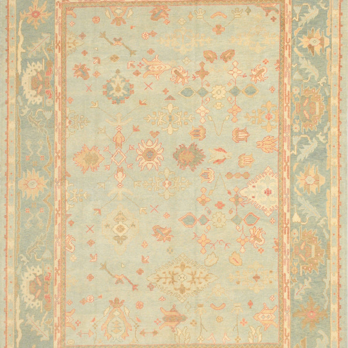 Traditional Brown Gold Oriental Rug, tr540