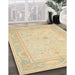 Machine Washable Traditional Brown Gold Rug in a Family Room, wshtr540