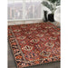 Traditional Crimson Red Persian Rug in Family Room, tr544