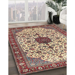 Traditional Brown Red Medallion Rug in Family Room, tr548
