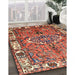 Traditional Tangerine Pink Persian Rug in Family Room, tr555