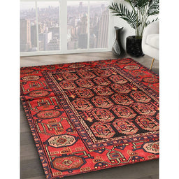 Traditional Red Persian Rug in Family Room, tr556