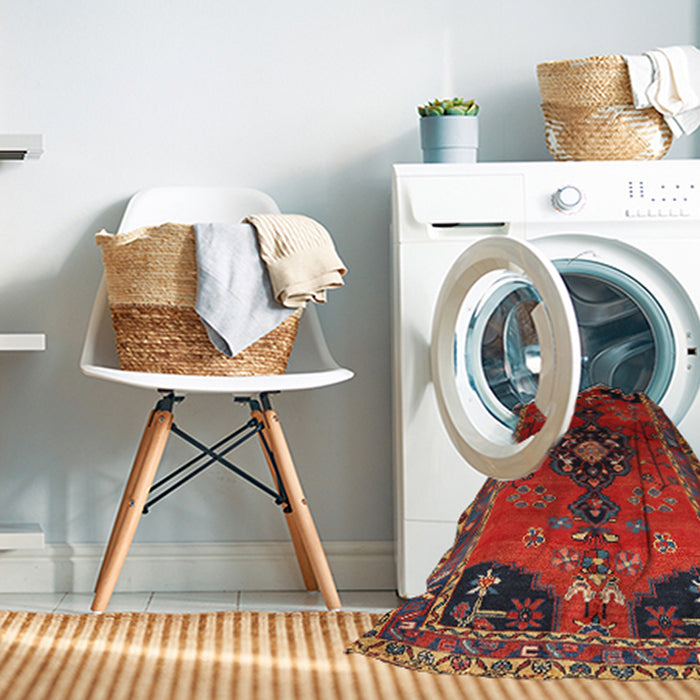 Machine Washable Traditional Brown Rug in a Washing Machine, wshtr559