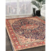 Traditional Brown Red Medallion Rug in Family Room, tr563