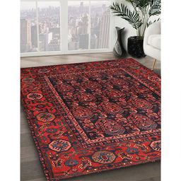 Traditional Reddish Brown Persian Rug in Family Room, tr569