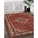 Traditional Gold Brown Medallion Rug in Family Room, tr586