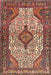 Traditional Saffron Red Medallion Rug, tr589