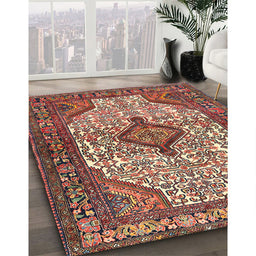 Traditional Saffron Red Medallion Rug in Family Room, tr589