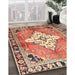 Traditional Brown Red Medallion Rug in Family Room, tr604