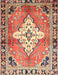 Traditional Brown Red Medallion Rug, tr604