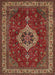 Traditional Red Medallion Rug, tr62