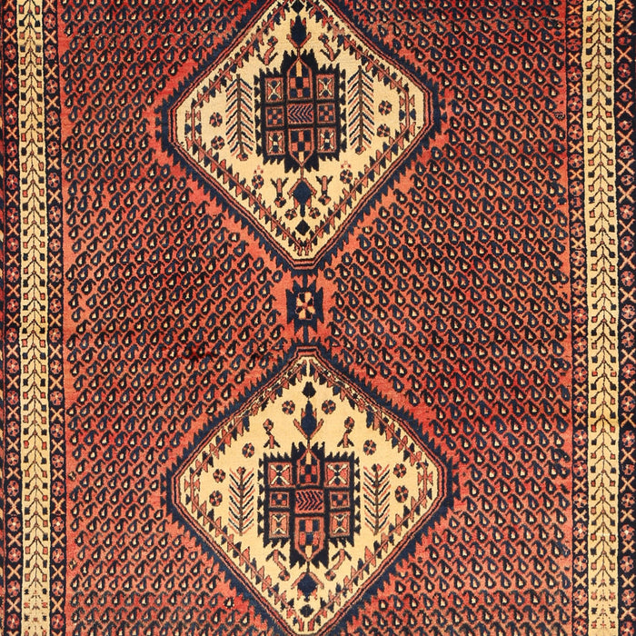 Machine Washable Traditional Bronze Brown Rug, wshtr635