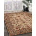 Machine Washable Traditional Dark Sienna Brown Rug in a Family Room, wshtr63