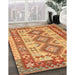 Traditional Orange Red Southwestern Rug in Family Room, tr656