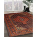 Machine Washable Traditional Sienna Brown Rug in a Family Room, wshtr659