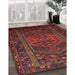 Traditional Chestnut Brown Persian Rug in Family Room, tr660