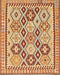 Traditional Red Southwestern Rug, tr675