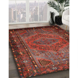 Traditional Sienna Brown Persian Rug in Family Room, tr688