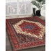 Traditional Dark Almond Brown Persian Rug in Family Room, tr6