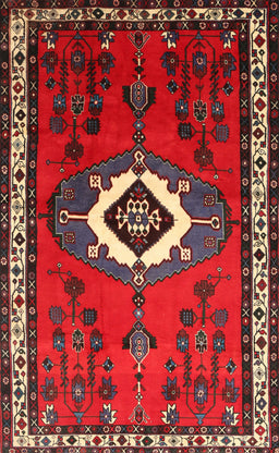 Machine Washable Traditional Brown Rug, wshtr716