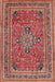 Traditional Light Copper Gold Medallion Rug, tr73