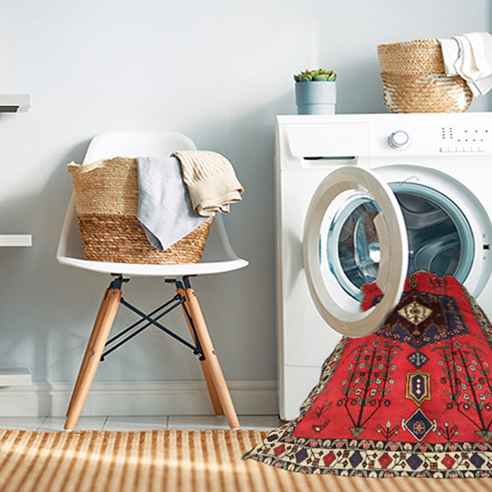 Machine Washable Traditional Brown Rug in a Washing Machine, wshtr742