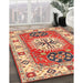 Traditional Red Persian Rug in Family Room, tr753
