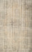 Machine Washable Traditional Brown Rug, wshtr767