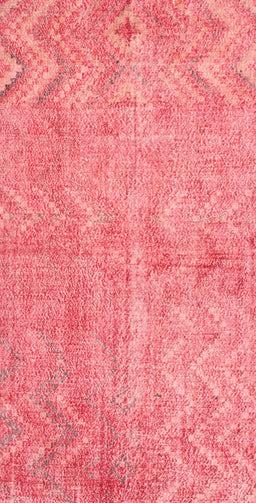 Machine Washable Traditional Red Rug, wshtr769