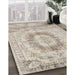 Traditional Camel Brown Persian Rug in Family Room, tr774