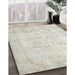 Traditional Dark White Beige Persian Rug in Family Room, tr776