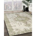 Traditional Desert Sand Beige Persian Rug in Family Room, tr777