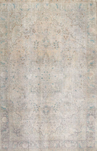 Machine Washable Traditional Sage Green Rug, wshtr778