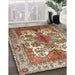 Traditional Dark Sienna Brown Persian Rug in Family Room, tr783