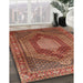 Traditional Red Persian Rug in Family Room, tr788