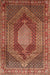 Machine Washable Traditional Tomato Red Rug, wshtr788