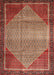 Machine Washable Traditional Tomato Red Rug, wshtr790