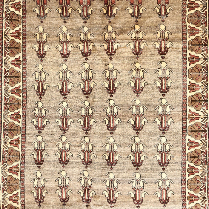 Machine Washable Traditional Brown Gold Rug, wshtr821