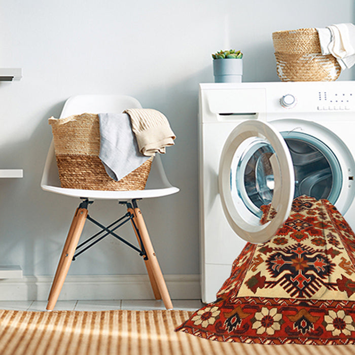 Machine Washable Traditional Sand Brown Rug in a Washing Machine, wshtr825