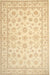 Traditional Sun Yellow Oriental Rug, tr843