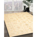 Machine Washable Traditional Gold Rug in a Family Room, wshtr844