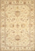 Traditional Brown Gold Oriental Rug, tr845