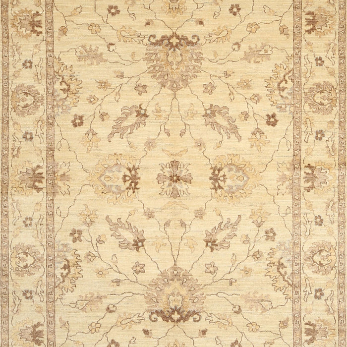 Traditional Brown Gold Oriental Rug, tr845