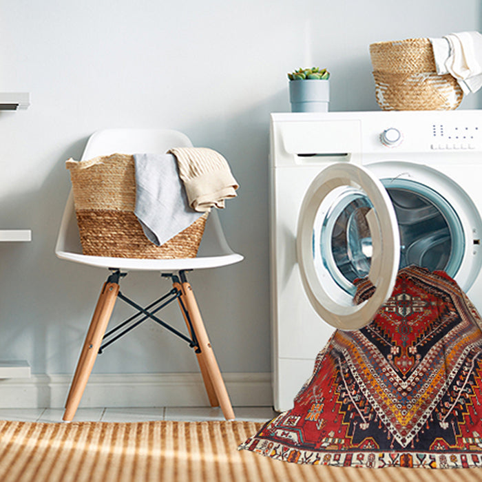 Machine Washable Traditional Dark Almond Brown Rug in a Washing Machine, wshtr869