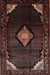 Traditional Reddish Brown Medallion Rug, tr88