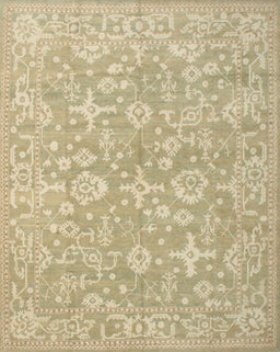 Machine Washable Traditional Brown Rug, wshtr893