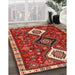 Traditional Copper Red Pink Persian Rug in Family Room, tr906